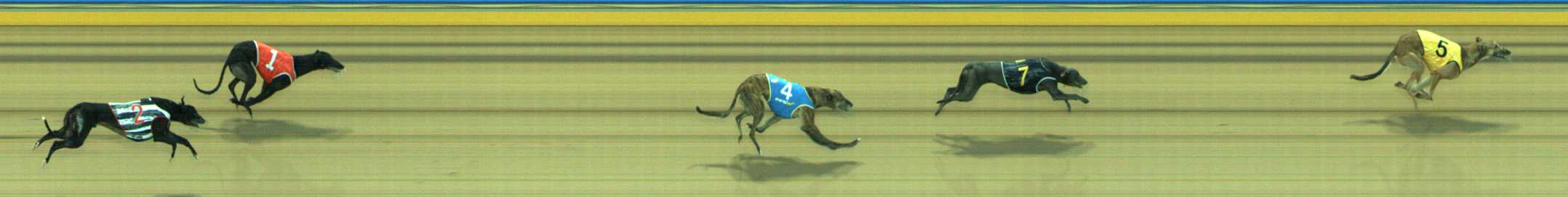 Photo finish for Traralgon Race 8