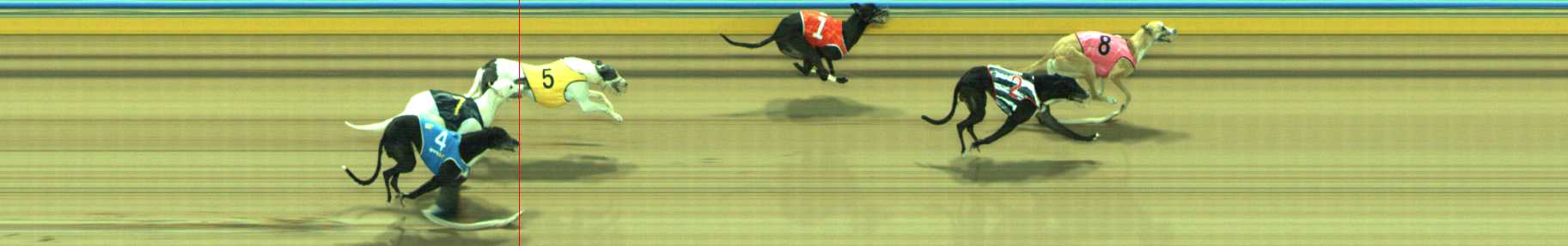 Photo finish for Traralgon Race 9