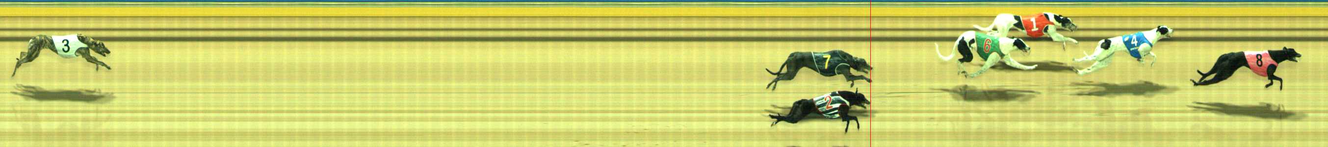 Photo finish for Traralgon Race 10