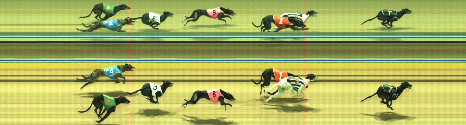 Photo finish for Traralgon Race 11