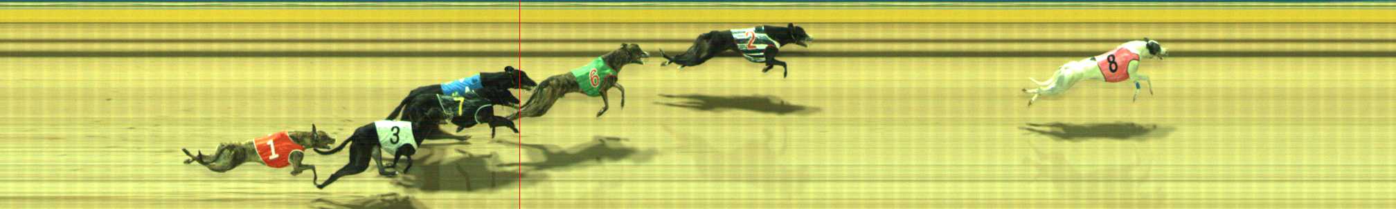 Photo finish for Traralgon Race 12