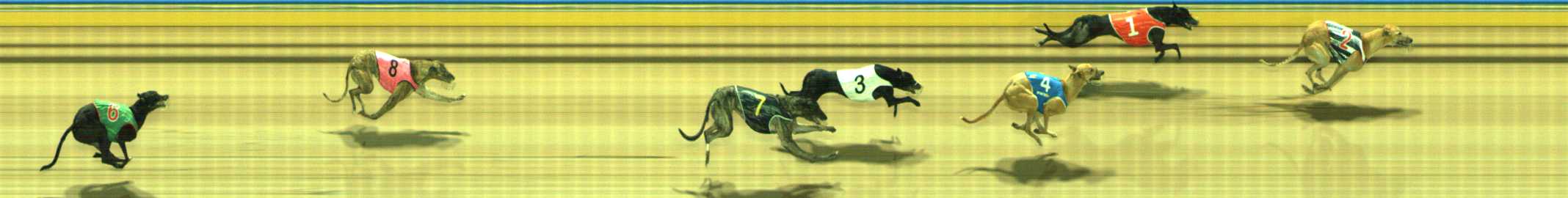 Photo finish for Traralgon Race 13
