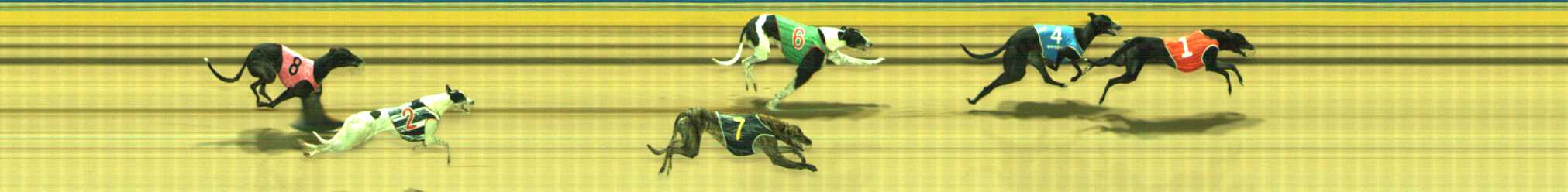 Photo finish for Traralgon Race 1