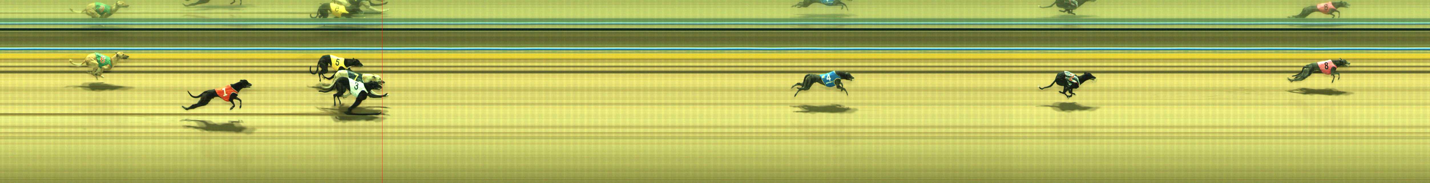 Photo finish for Traralgon Race 2