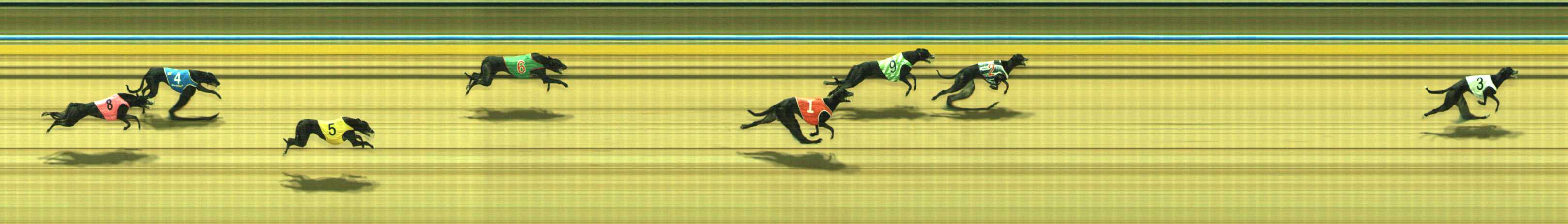 Photo finish for Traralgon Race 3