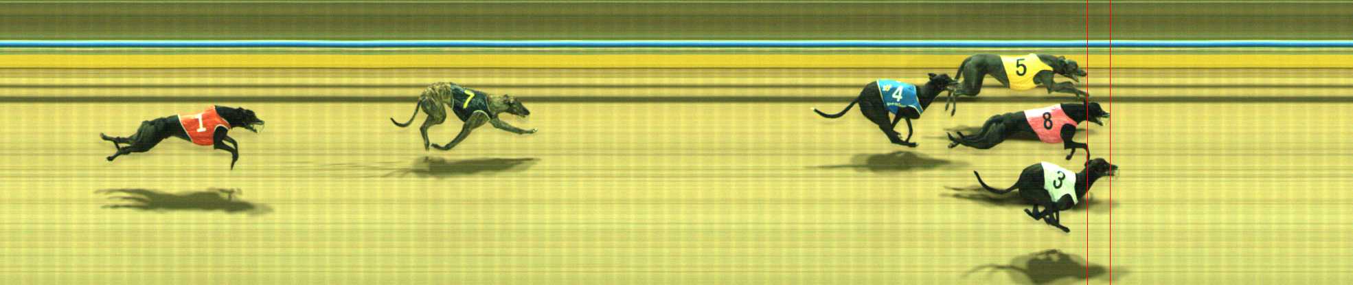 Photo finish for Traralgon Race 4