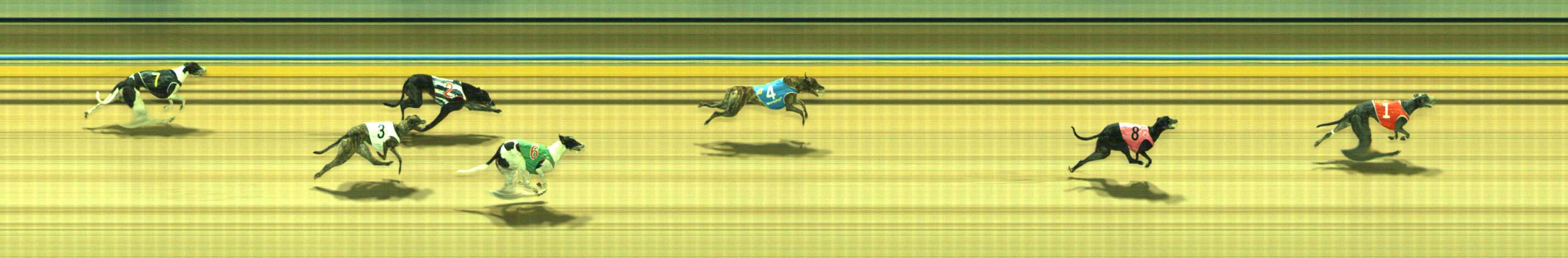 Photo finish for Traralgon Race 5