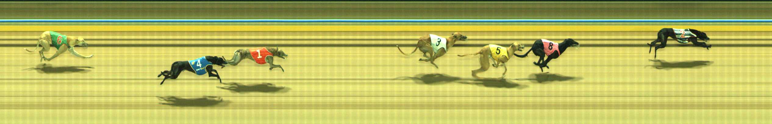 Photo finish for Traralgon Race 6