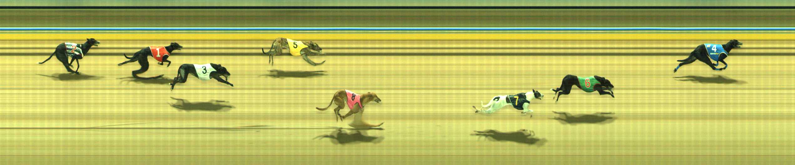 Photo finish for Traralgon Race 7