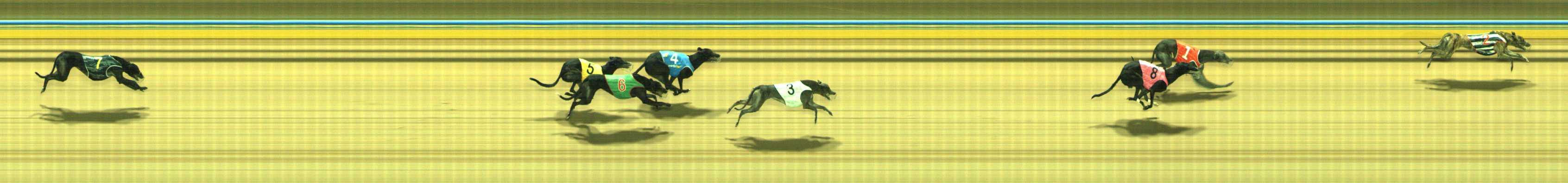 Photo finish for Traralgon Race 8