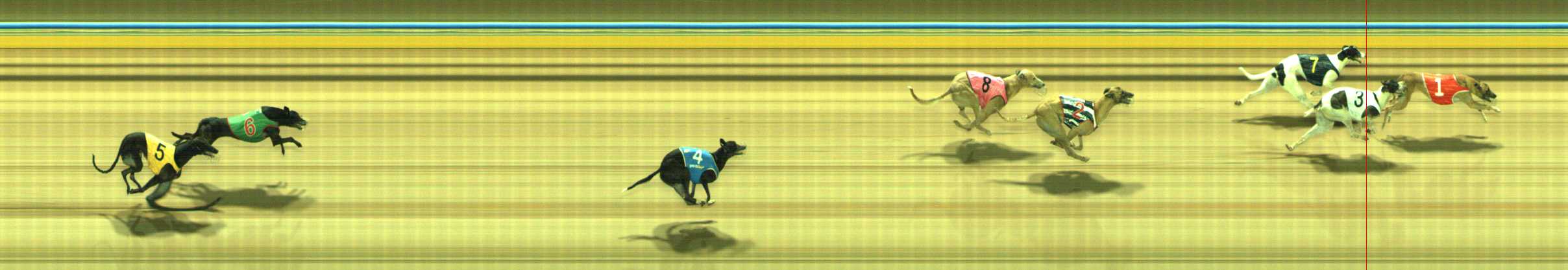 Photo finish for Traralgon Race 9