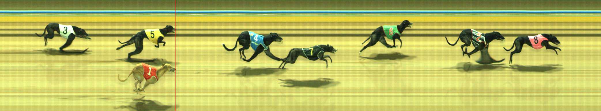 Photo finish for Traralgon Race 10