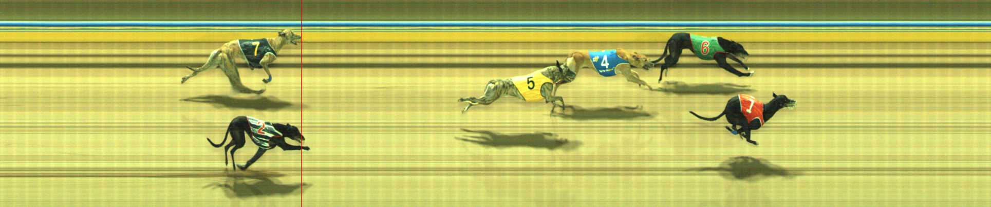 Photo finish for Traralgon Race 11