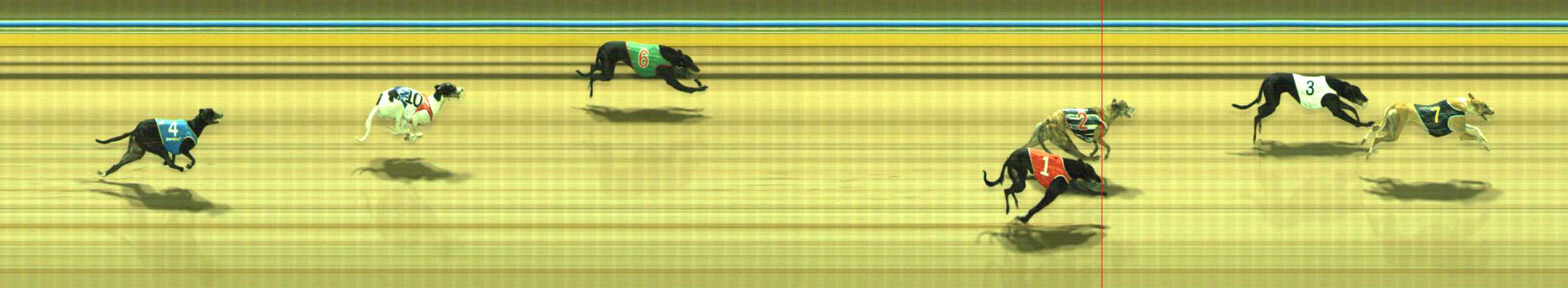Photo finish for Traralgon Race 12