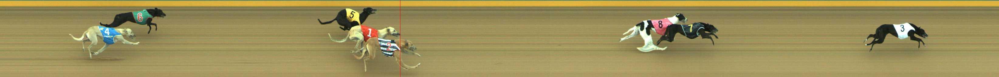 Photo finish for Traralgon Race 1