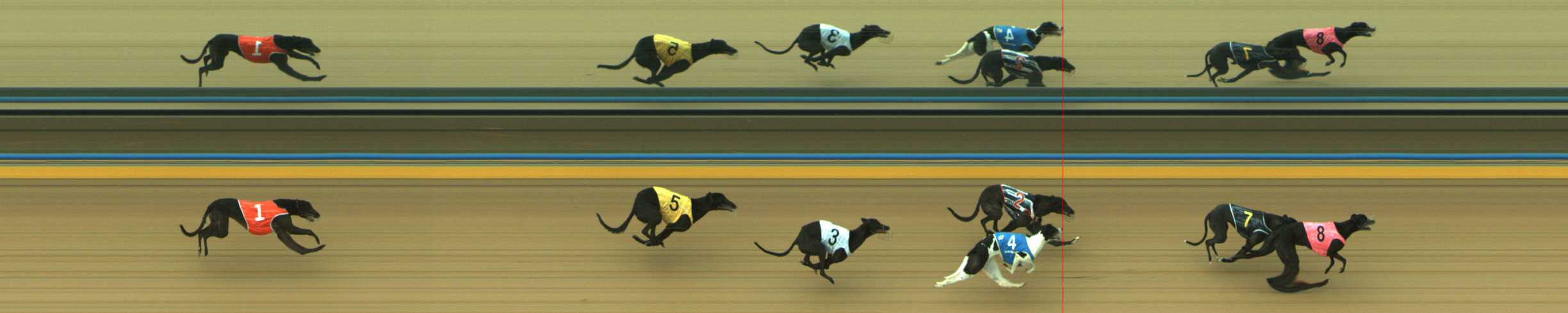 Photo finish for Traralgon Race 2