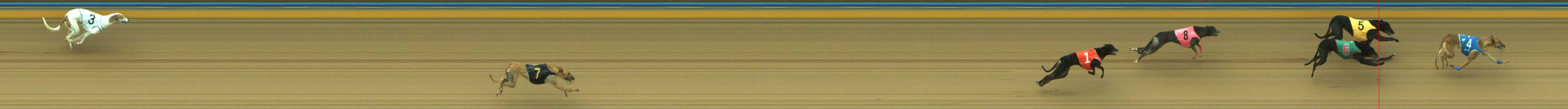 Photo finish for Traralgon Race 3