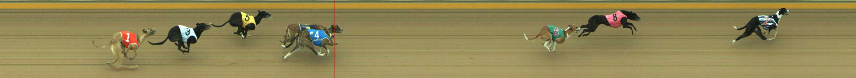 Photo finish for Traralgon Race 4