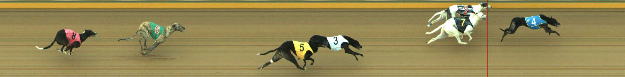 Photo finish for Traralgon Race 5