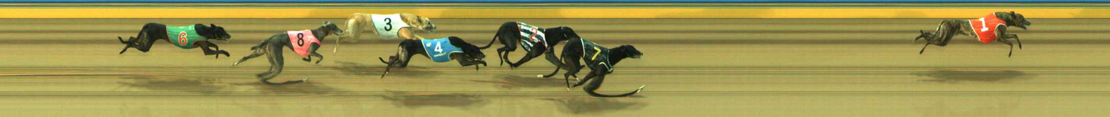 Photo finish for Traralgon Race 6