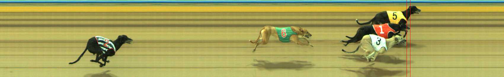 Photo finish for Traralgon Race 7