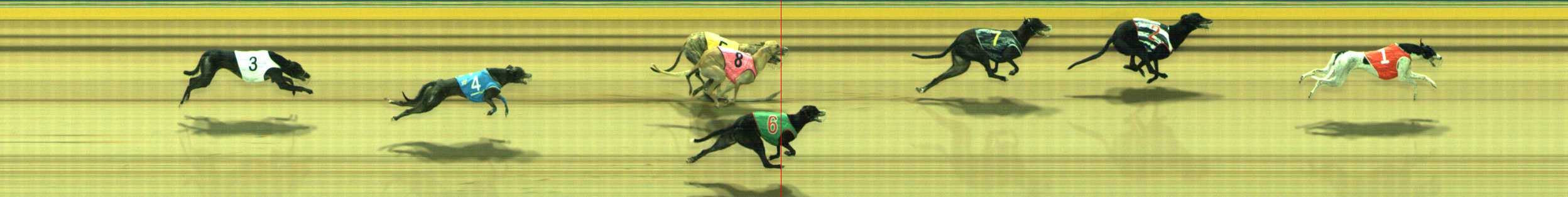 Photo finish for Traralgon Race 8