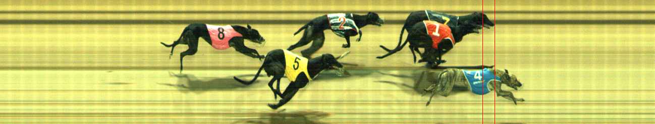 Photo finish for Traralgon Race 9