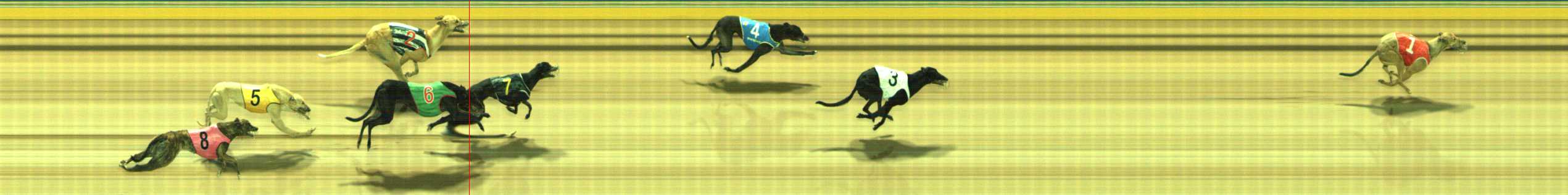 Photo finish for Traralgon Race 10
