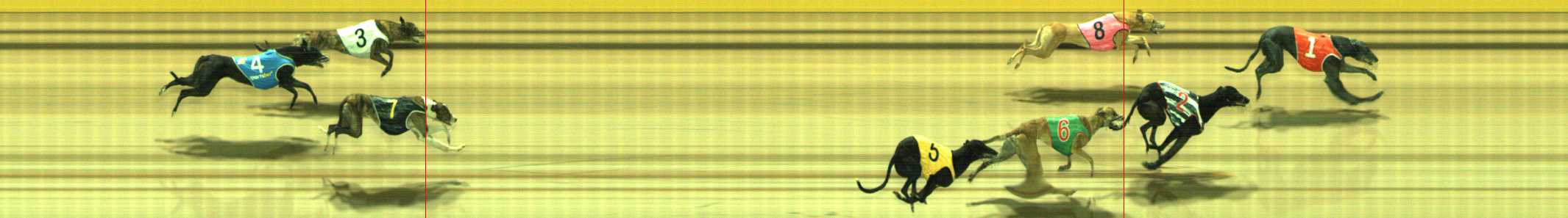 Photo finish for Traralgon Race 11