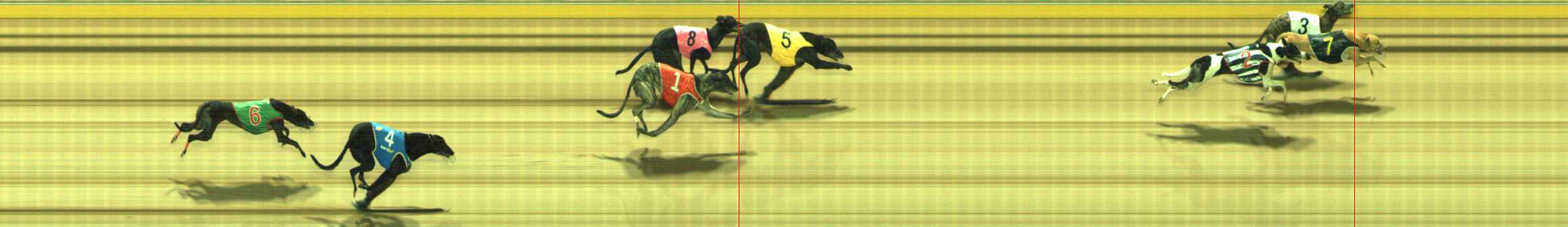 Photo finish for Traralgon Race 13