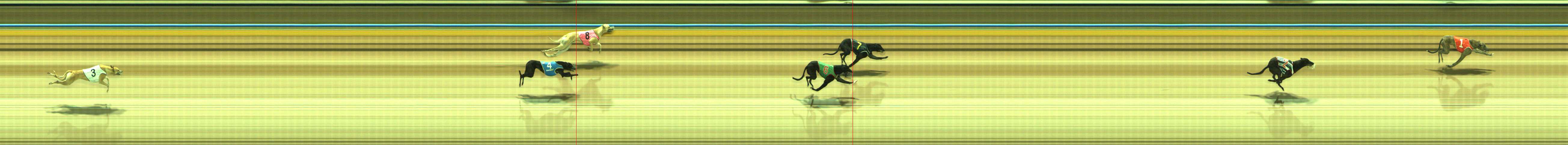 Photo finish for Traralgon Race 1