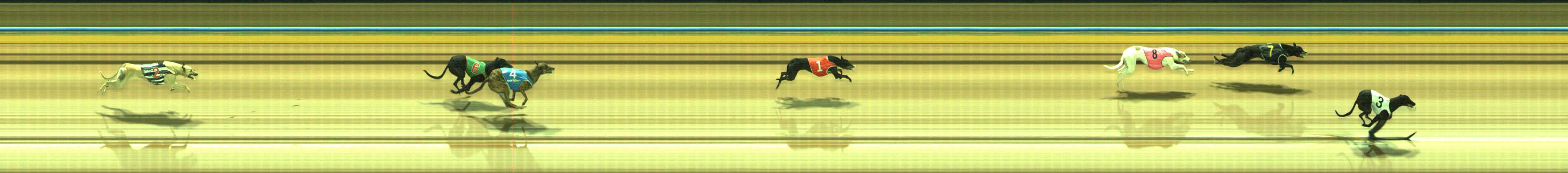 Photo finish for Traralgon Race 2