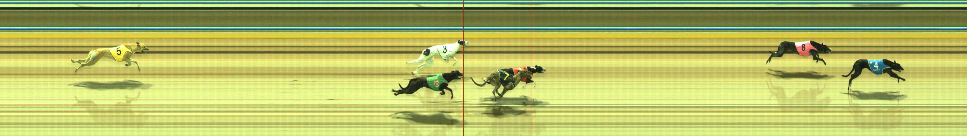 Photo finish for Traralgon Race 3