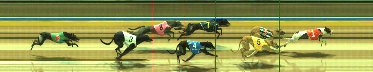 Photo finish for Traralgon Race 4