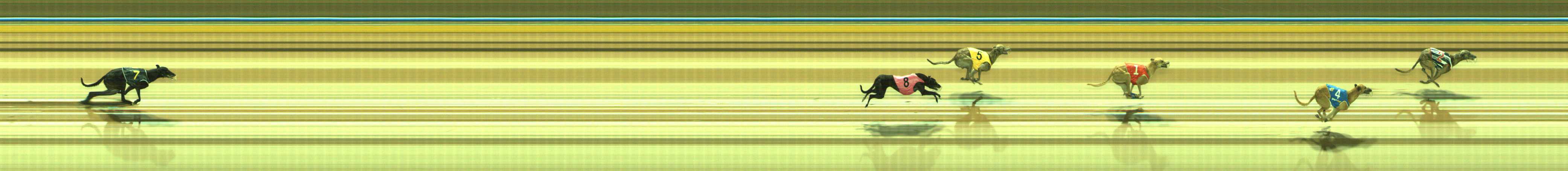 Photo finish for Traralgon Race 5