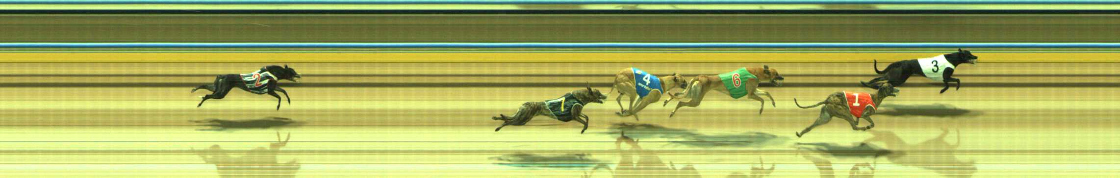 Photo finish for Traralgon Race 6