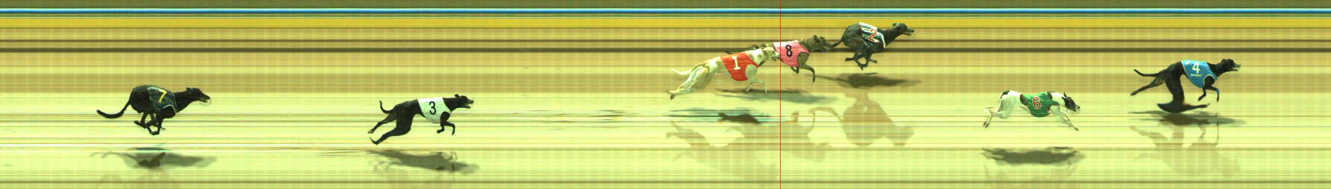 Photo finish for Traralgon Race 7