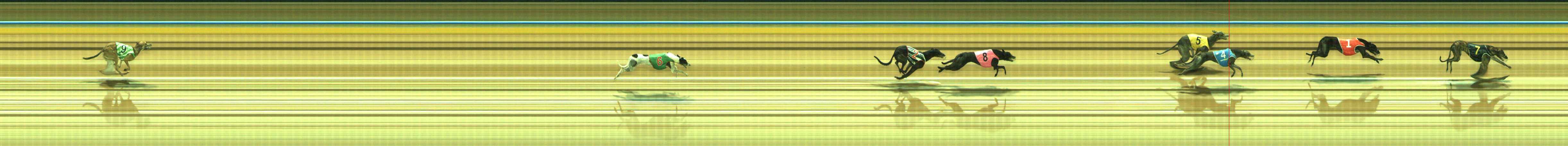 Photo finish for Traralgon Race 8