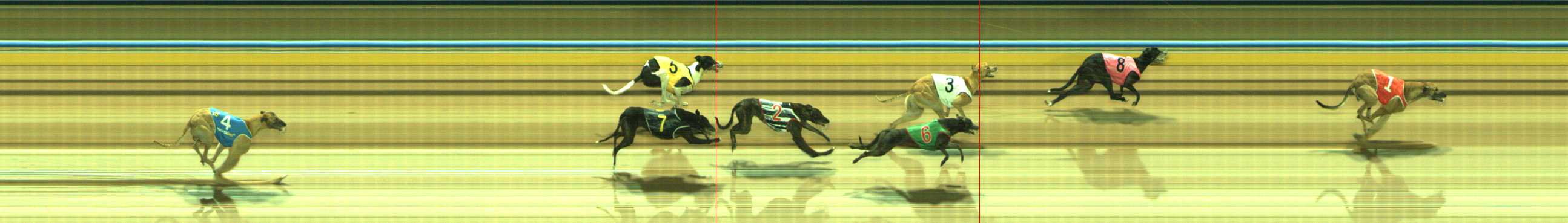 Photo finish for Traralgon Race 9