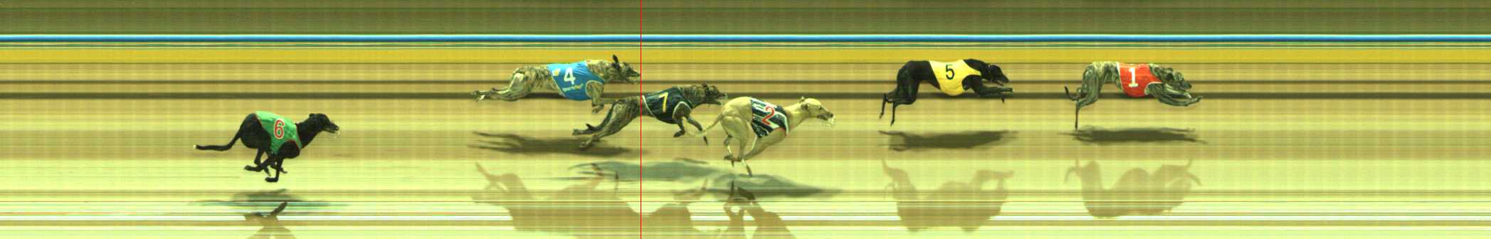 Photo finish for Traralgon Race 10