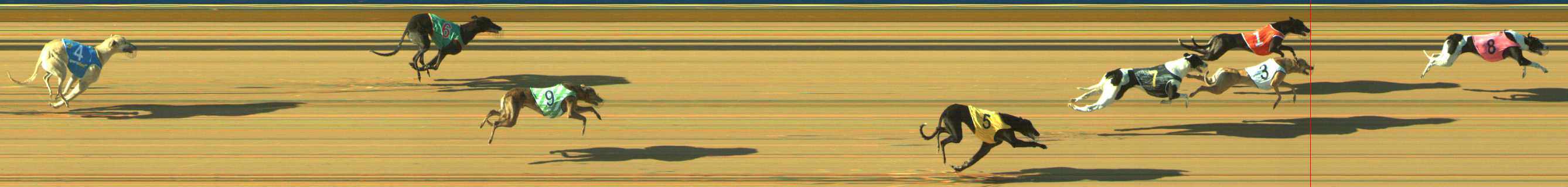 Photo finish for Traralgon Race 1