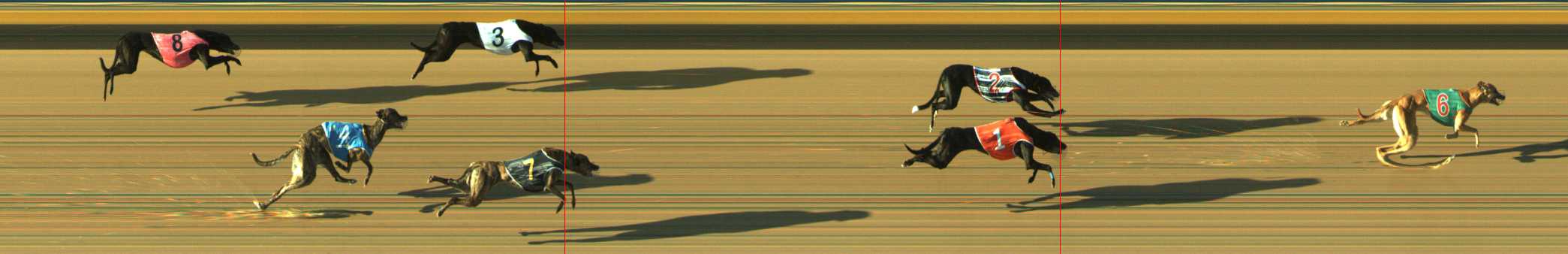 Photo finish for Traralgon Race 3