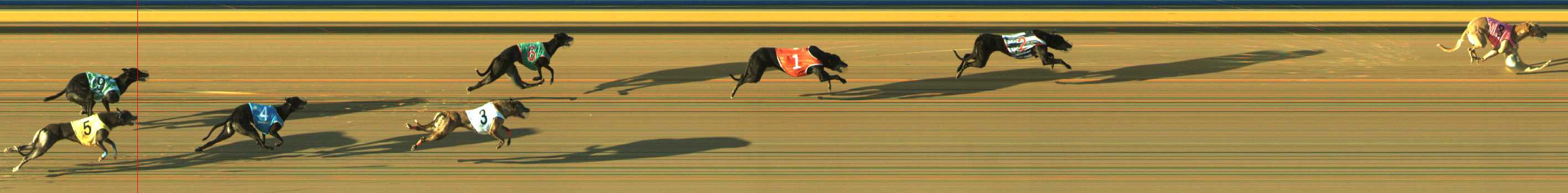Photo finish for Traralgon Race 4