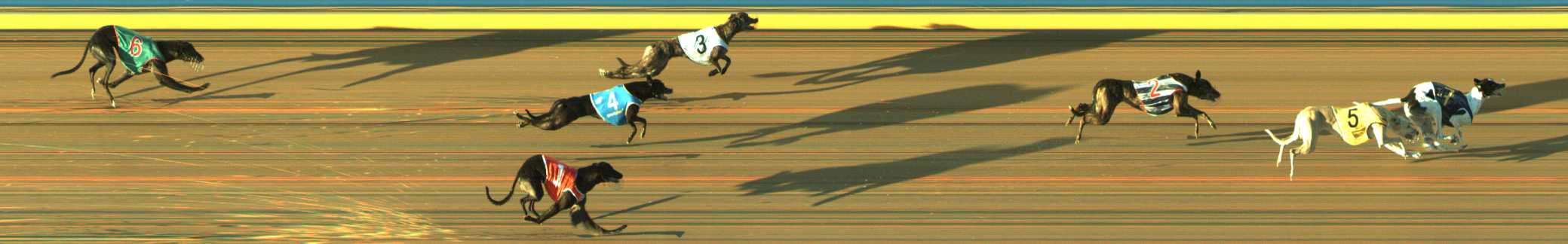 Photo finish for Traralgon Race 5