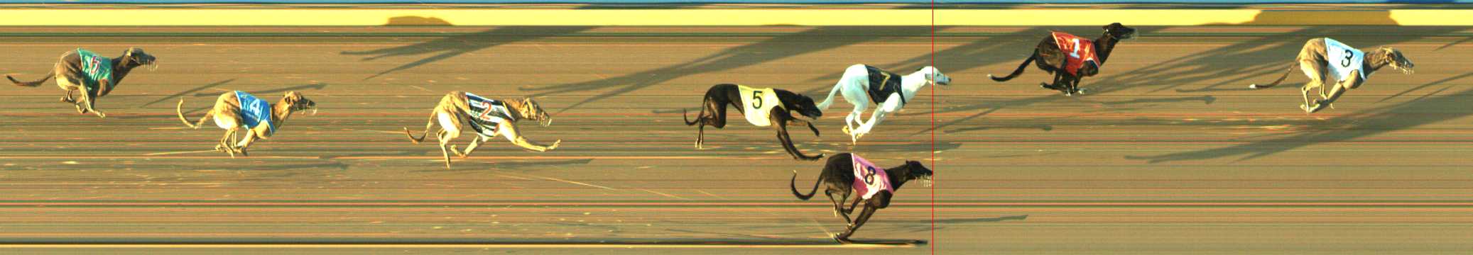 Photo finish for Traralgon Race 6