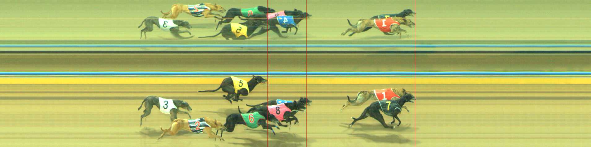 Photo finish for Traralgon Race 7