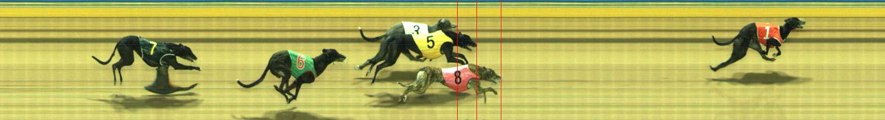 Photo finish for Traralgon Race 8