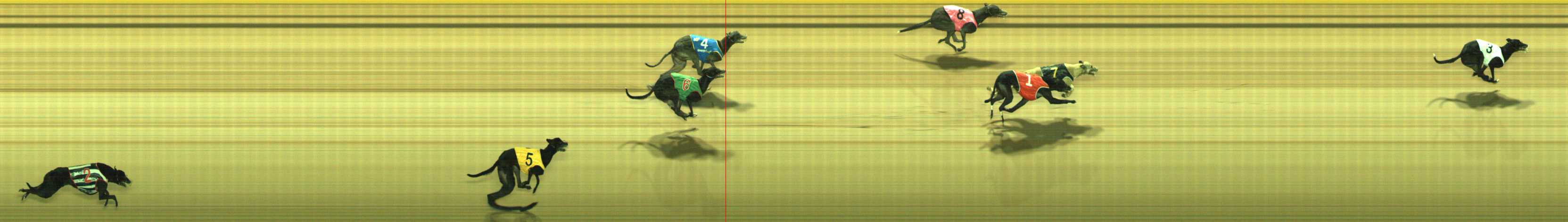 Photo finish for Traralgon Race 9