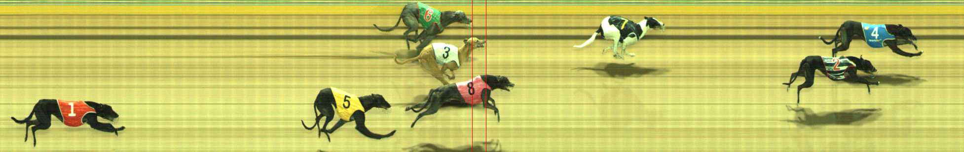 Photo finish for Traralgon Race 10