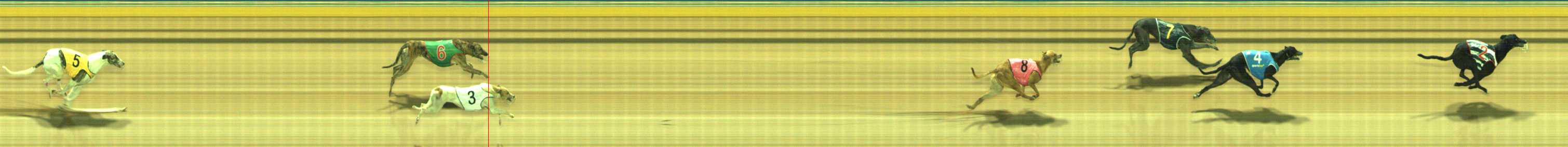 Photo finish for Traralgon Race 11